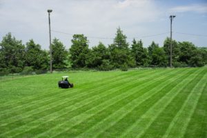 When to start mowing
