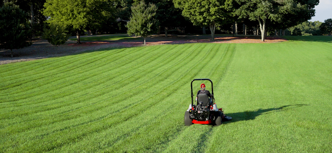 Spring weed control is important for a weed free lawn