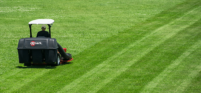 An Exmark mower micro mulching lawn clippings