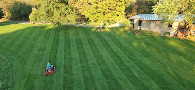 Stripes help make a lawn look professional