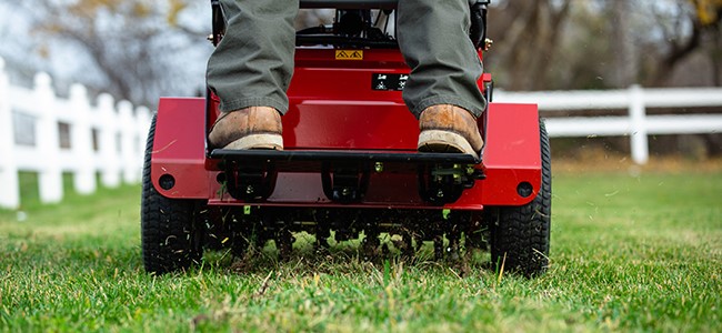 Reel Mowers, What do you do with all the stray grass blades? Leave